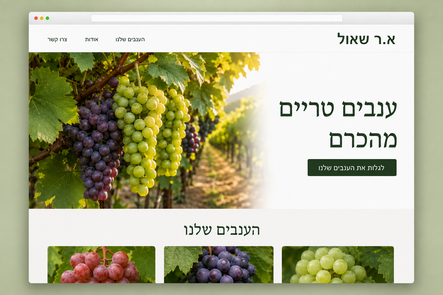 Generated concept website mockup for AR Shaul, a grape-growing agricultural business